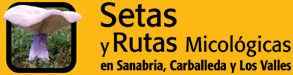 Setas y Rutas Micol�gicas en Sanabria, Carballeda y Los Valles