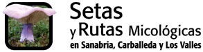 Setas y Rutas Micol�gicas en Sanabria, Carballeda y Los Valles