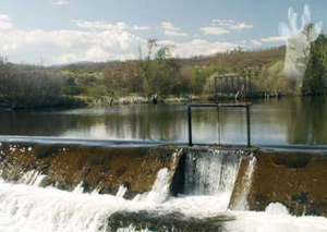 Presa de Castellanos
