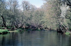 Ribera del Fontir�n