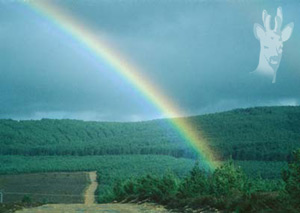 Sierra de la Culebra