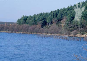 Embalse de Valparaiso