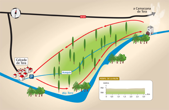 Choperas de Calzada de Tera