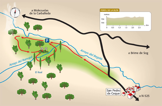 El Real de San Pedro