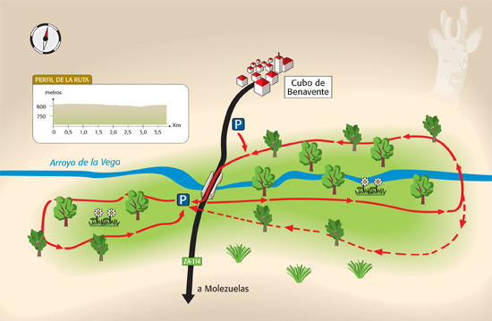 Fresneda del arroyo de la Vega
