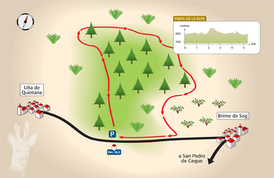 Pinar de U�a de Quintana