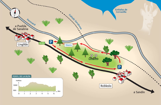Robledo - Vivero de Ungilde