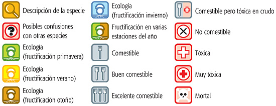 Iconos de las descripciones