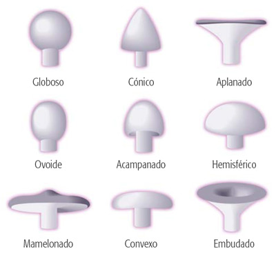 Formas de sombrero